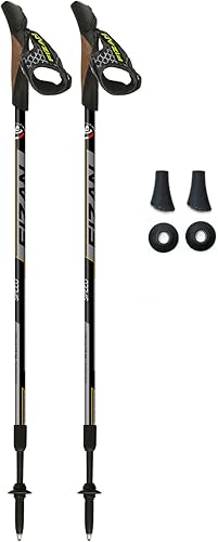 FIZAN Modelo de velocidad, Swift Nordic Bastones de marcha de aluminio