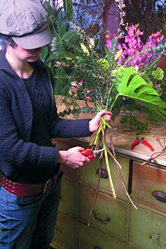 Felco F-300 Picking And Trimming Snips, F 300, Multicolor #TOP5