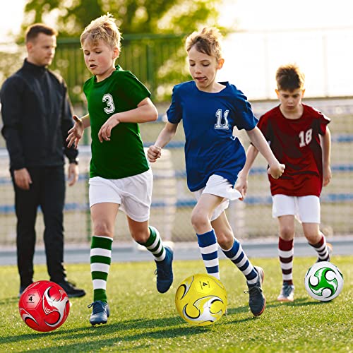 Deekin 6 Pack Soccer Ball With Pump, Outside Sport Soccer Ball Machine Stitched Ball For Game Training Practice (Size 4) #TOP5