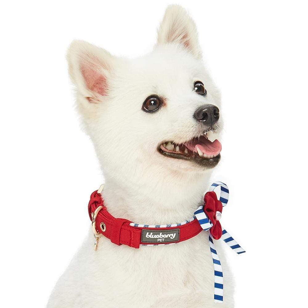Blueberry Pet 4 Patterns Bon Voyage Sea Lover Adjustable Dog Collar in Timeless Red, Neck 13-16.5