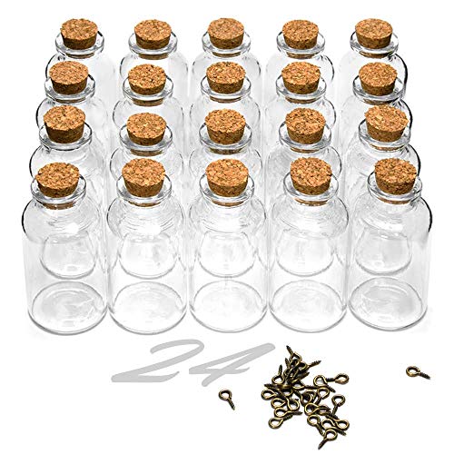 ARTESTAR Fiole en Verre 24 Pièces Mini Bocaux en Verre 25ml, Petite Bouteille en Verre Contenant Dragées Verre Tube en Verre avec Bouchon Liege (30 * 60MM)