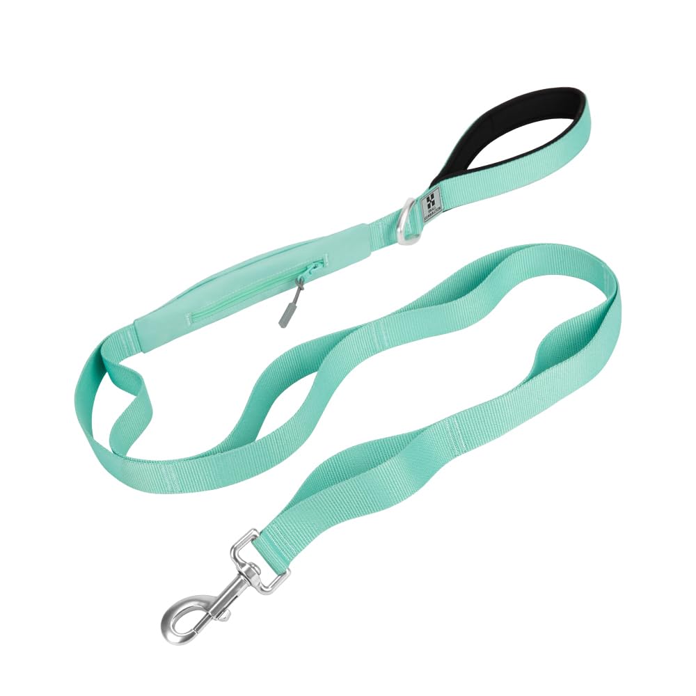 SMALL COMBINATION Dog Leash, with Metal Clip (Aqua Green, L)