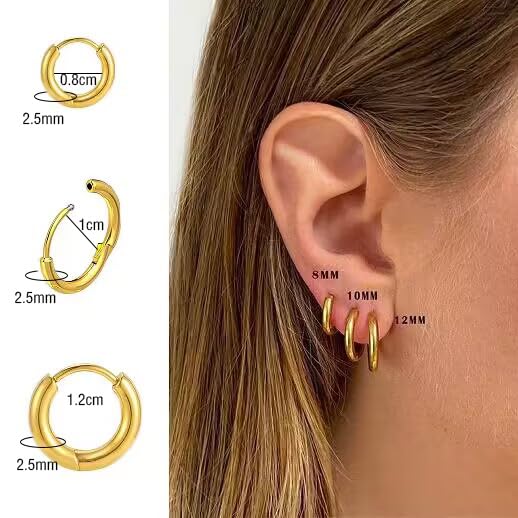 BLISI G23 Titanium Hoop Earrings, Hinged Huggie Hoop Earrings for Lobe Cartilage 8mm/10mm/12mm Hypoallergenic Lightweight Huggie Hoops Earring with 14K Gold Plated Earrings for Women Men Girls3
