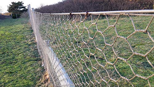 Image of SAI PRASEEDA UV Stabilized Chicken Poultry Wire Garden Fencing Iron Net Anti Bird Net 24 Inches Height X 50 Feet Length with 1 Cutter and 100 PVC Tags SP63