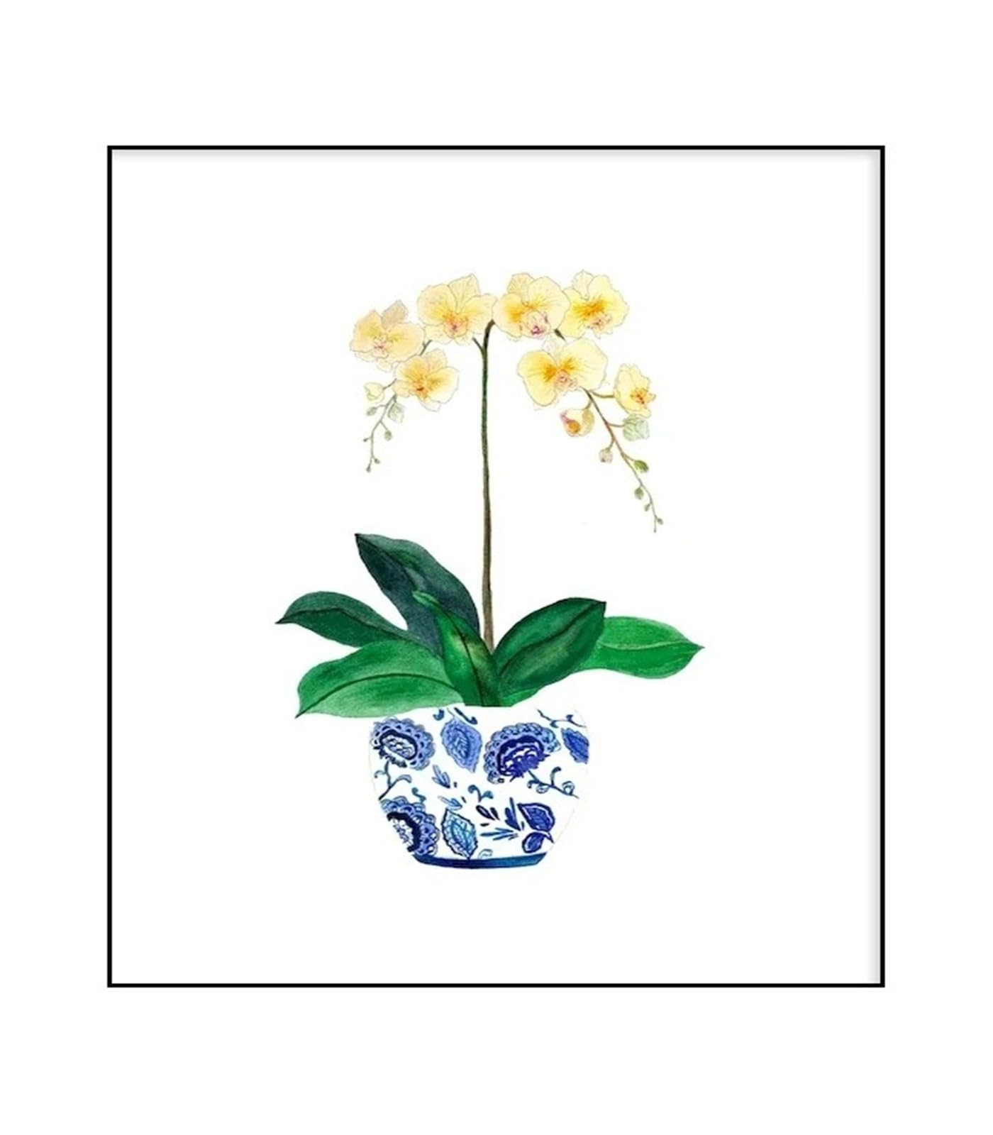 Xenite O Wall Art Canvas Prints Watercolor Flower Vase Floral Plant Wall Art Canvas Painting Nordic Posters For Living Room Home Decor(,50X70cm)