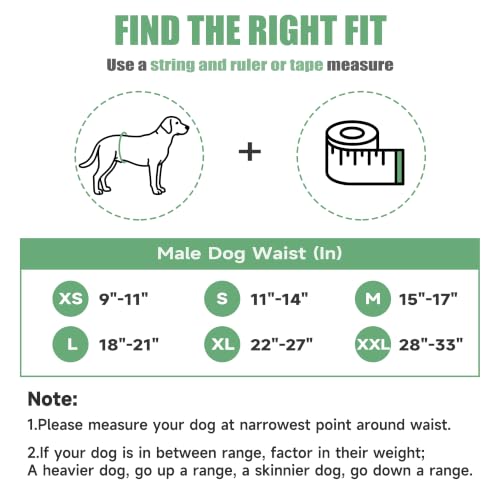 Image of wegreeco Washable Male Dog Diapers (Pack of 3) - Washable Male Dog Belly Wrap (White, Large)