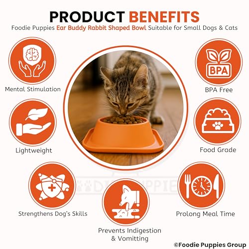 Image of Foodie Puppies Pet Feeding Tilted Cat Bowl - (Ear Buddy Rabbit Shape) | Durable, Anti Vomiting, Healthy Cat Feeder for Persian Cat Prevent Tipping Over | Bowl for Cats, Kittens & Puppies