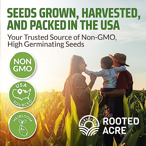 8 Basil Seeds Pack - 4000+ High Germinating Basil Herb Seeds - Thai, Genovese, Italian, Purple, Lemon, Tulsi Holy, Sweet Basil, & More - Non Gmo, Usa Heirloom Seeds For Planting Indoors Or Outdoors #TOP6