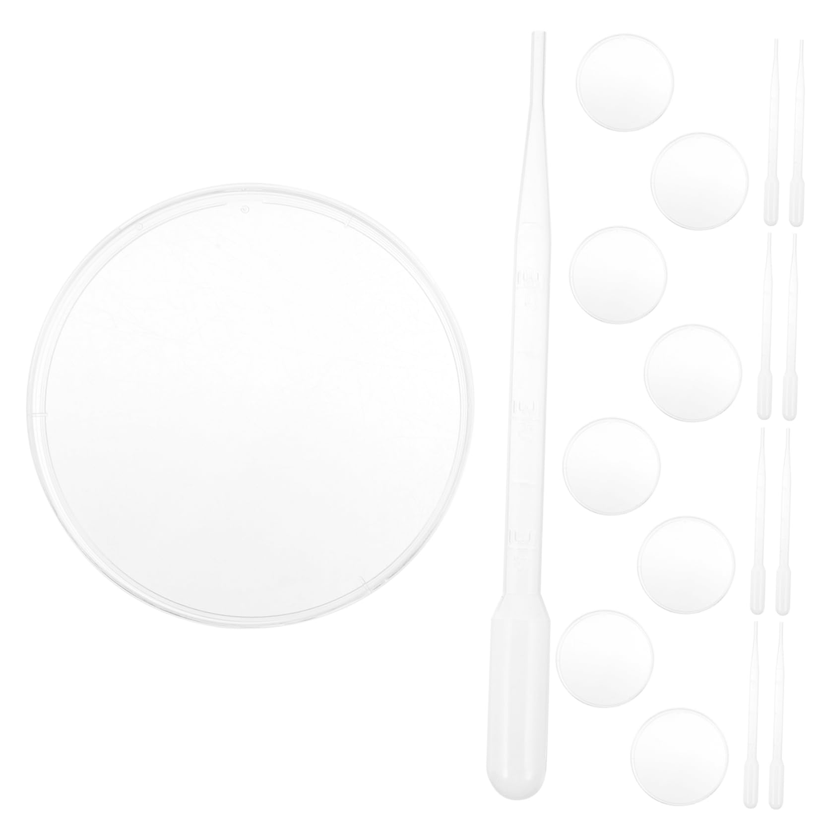 TIDTALEO 10 Pack Agar Petri Dishes Lids Dropper Science Easy to Observe