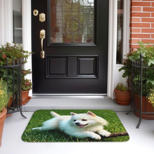 Tapis de sol antidérapant 40 x 60 lavable et résistant pour l'entrée - 3