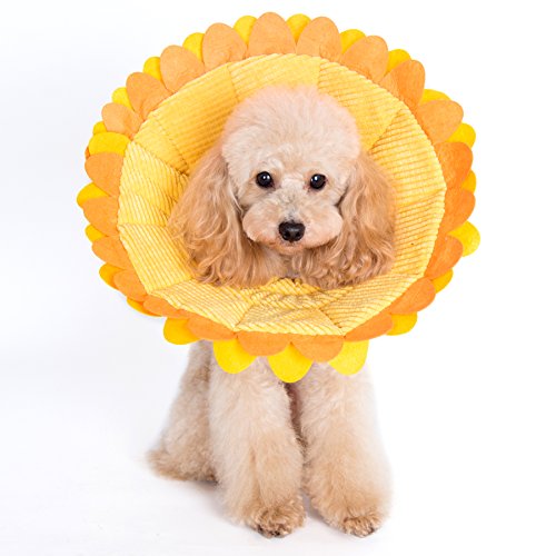 Alfie Pet - Noah Recovery Collar (for Dogs and Cats) - Pattern: Sunflower