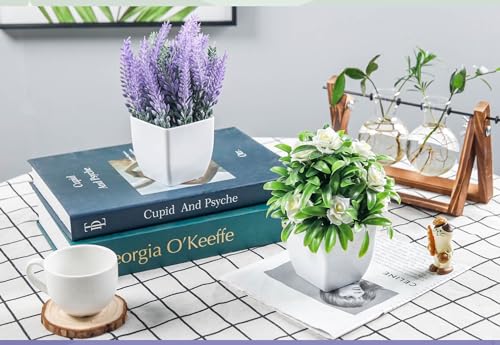 Der-Rose-2-Pack-Small-Fake-Plants-Faux-Plants-Indoor-with-Flowers-for-Home-Bathroom-Kitchen-Office-Desk-Decor