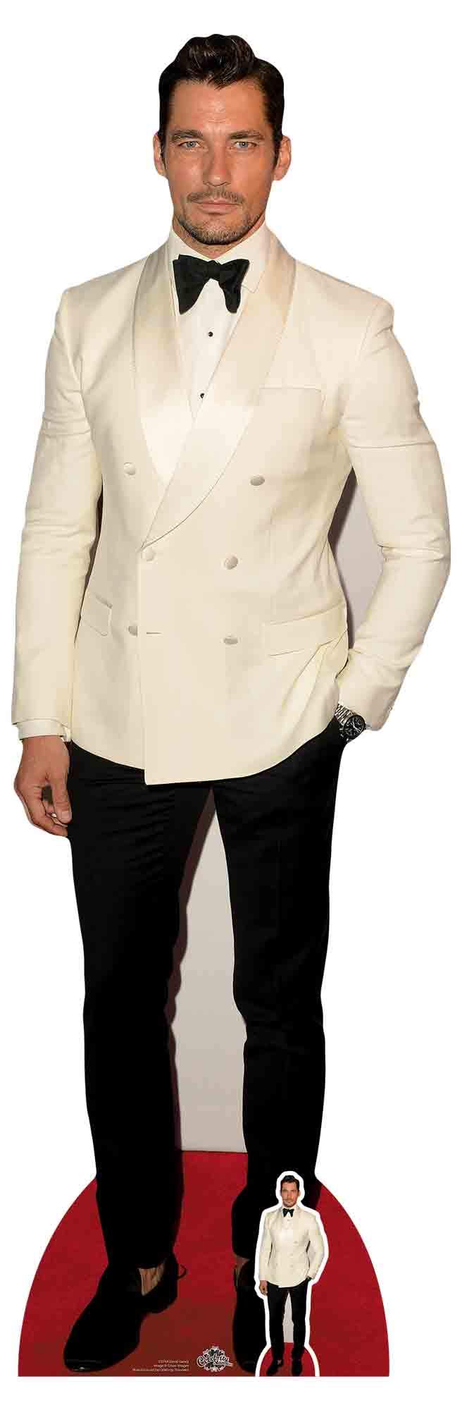 David Gandy Lifesize and FREE Mini Cardboard Cutout / Standee / Standup - Model