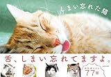しまい忘れた猫 (単行本)