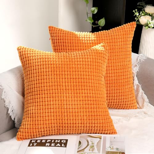 TAN.TOMI Kissenbezug 40x40, Kissenbezüge Kord Uni 2er Set, Kissenhülle Pillow Cover für Zierkissen Dekokissen Sofakissen Couchkissen in vielen Farben.