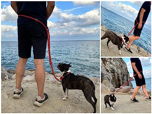 Hands Free Dog Lead. Double Ended, MultiFunction, Multiposition, for 2 Dogs, Small Medium Large. Rope and Leather - Image 4