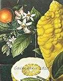  Calendario 2020: Mensualmente 2020 Calendario Ilustrado Frutal con Fechas y Fechas de Grandes Imágenes, Espacios para Registrar Ingresos, Gastos, ... Metas, Logros y Notas: 1 (cubierta verde)