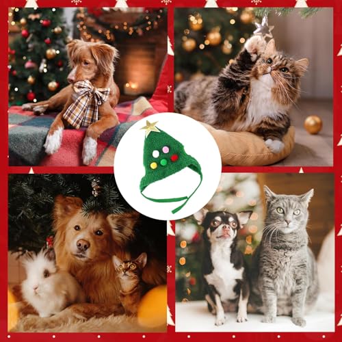 Haustier Weihnachtsmütze, Weihnachtskostüm Haustier Hund Katze, Niedlicher Plüsch Katzen Weihnachtsmütze mit Pompon, Weihnachtskostüm Hund, Perfekt Zum Verkleiden Von Haustieren zu Weihnachten (Grün)