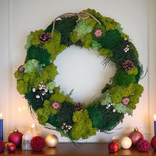 Multi-Textured Moss Art 16-inch Wreath | Layered Green Textures with Winter Accents & Rope Decoration | No-Maintenance (Multi-Textured Moss Blend)
