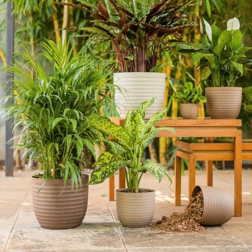Image of Verona Eco Series-5.5 Inch Eco-Friendly Natural Fiber Small Planters: Decorative Round Plant Pots Set of 2 for Indoor Home Living, Bedroom, Office, and Tabletop Decor (Brown)