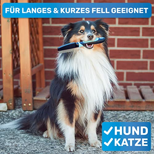 BluePet Robuster Flohkamm & Läusekamm Für Hunde & Katzen I Flöhe, Läuse & Zecken entfernen I Sanfte abgerundete Zinken I Als feiner Hundekamm, Staubkamm, Nissenkamm nutzbar