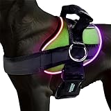 Joyride Harness LED Light Up Dog Harness...