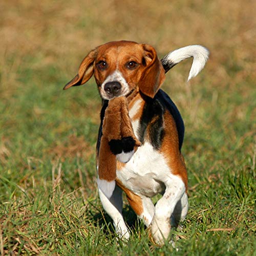 PDTO Hundespielzeug ohne Füllung, Quietschspielzeug für Hunde für kleine und mittelgroße Hunde (3 Packungen - 46 cm)