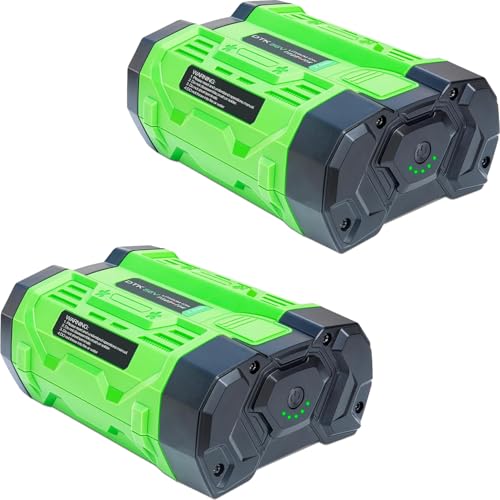 Image of DTK Battery Replacement for EGO 56V Battery 2.5Ah Batteries Compatible with BA1400T BA2800 BA4200T BA5600T Lightweight and Easy to Carry 2Packs