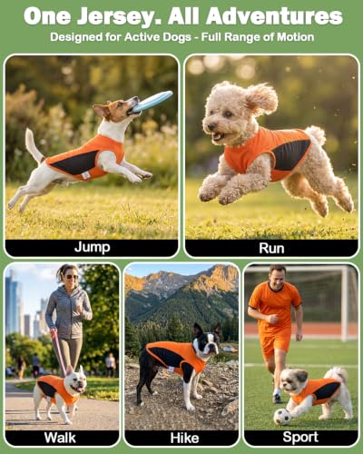Image of CuteBone Cooling Stretch Sport Dog Tank - Athletic Fan Pet Jersey - Color Block Pet Vest for Small Dogs, Cats