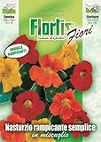 Flortis