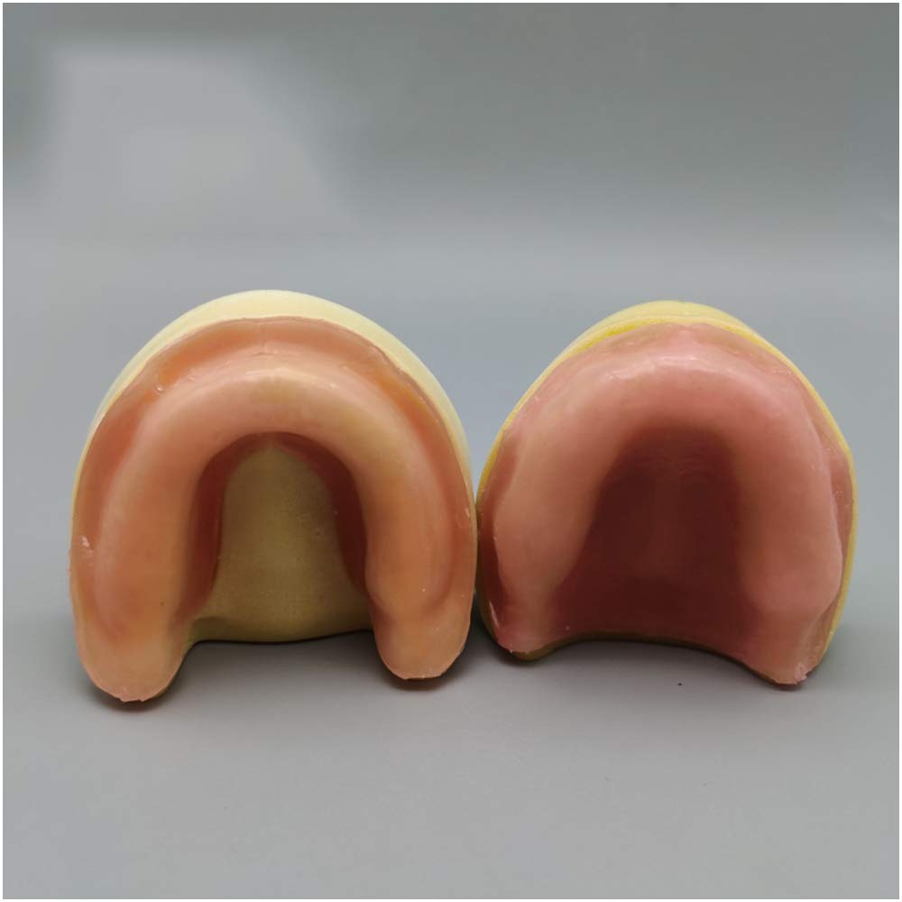 Modèle De Pratique De L'implant Dentaire - sans Gencives Modèle D'implant Oral Dentaire - Gommes en Silicone Douce pour Mâchoires Édentées - Pratique pour Les Étudiants