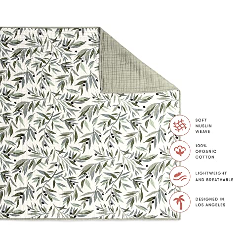 Image of Babyletto 100% Organic Cotton Quilt, GOTS-Certified, 3-Layers of Ultra-Soft and Breathable Muslin - Olive Branches
