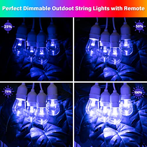 Guirlande lumineuse d'extérieur RVB 14,6m Mlambert ampoules LED blanc