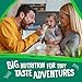 Earth's Best Organic Baby Food, Organic Whole Grain Oatmeal Baby Cereal, Non-GMO, Easily Digestible and Iron Fortified Baby Food, 8 oz Box (Pack of 12)