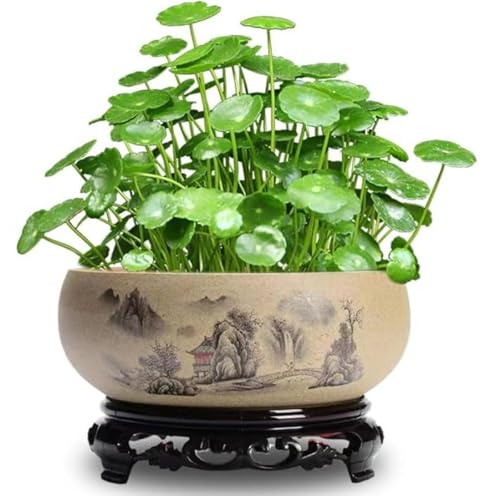 Lotus Bowl Planter,Lotus Bowls for Planting in Water Indoors