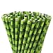 ALINK Green Bamboo Paper Straws, Biodegradable Party Drinking Straws, Pack of 100