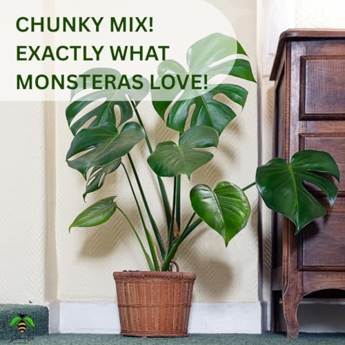 Image of Monstera Soil Mix (1KG), Ideal Soilmix for Monsteras, 100% Natural and Organic, Ideal Potmix, Potting Mixture, Ready to Use, Well Drained Mix (1 Kilogram)