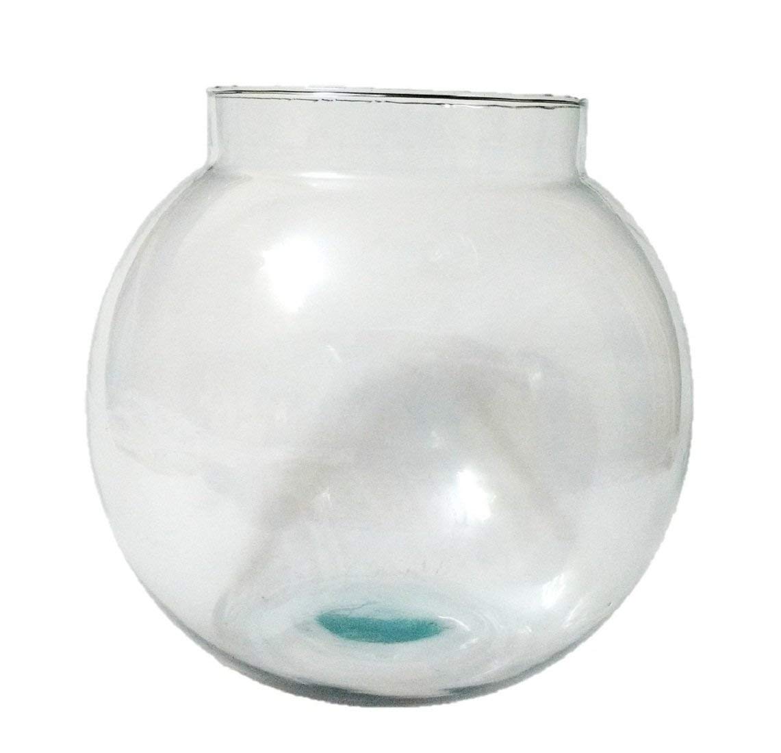 See full amazon price history chart for DS Glass Fish Bowl (10 inch, Clear) DS Glass Fish Bowl (10 inch, Clear) (B077L5BLSL) Amazon Price History, Amazon Price Tracker