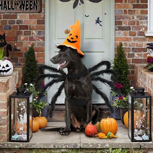 Disfraz de araña para perros y gatos pequeños 16.5 in miniatura 5