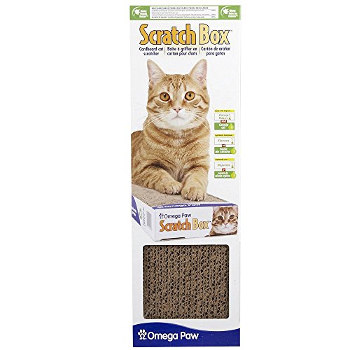 Omega Paw SB Scratch Box