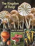 The Kingdom of Fungi