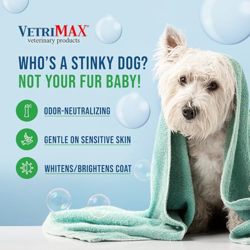 Hypoallergenic Anti-Itch Medicated Dog Shampoo with Salicylic Acid, Sensitive, Itchy Skin and Hair, Wash and Odor Eliminator Shampoo (4 oz)