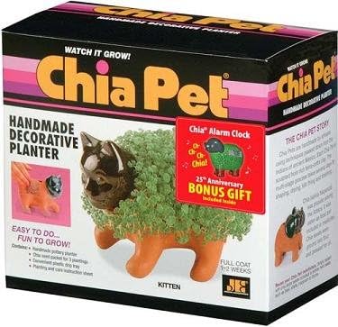 Joseph Enterprises CP 031-16 Kitten Chia Pet- Case of 16