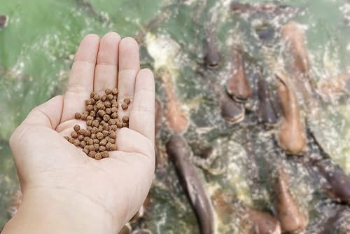 CZ Grain Pellets flotantes prémium para peces Alimento para peces de estanque o lago, lleva pescado a la superficie para alimentarlo (10 libras)