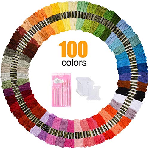 WeeDee Fils à Broderie Kit pour Broderie Point de Croix Tricotage Bracelets Brésiliens Fils à Coudre des Outils Accessoires, 100 Couleurs