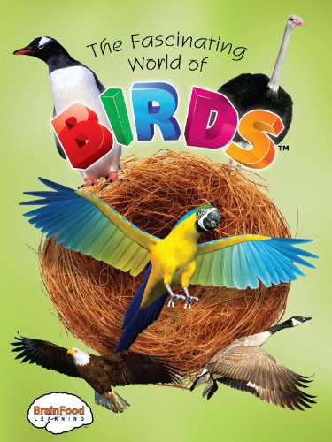 The Fascinating World of Birds The Fascinating World of Birds