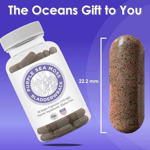 Purple Seamoss + Bladderwrack Seaweed Capsules - 2202mg Complete Nutrient Profile, Wildcrafted & Wildharvested, Made in the USA, Rich in Minerals, 60 ct - Image 5