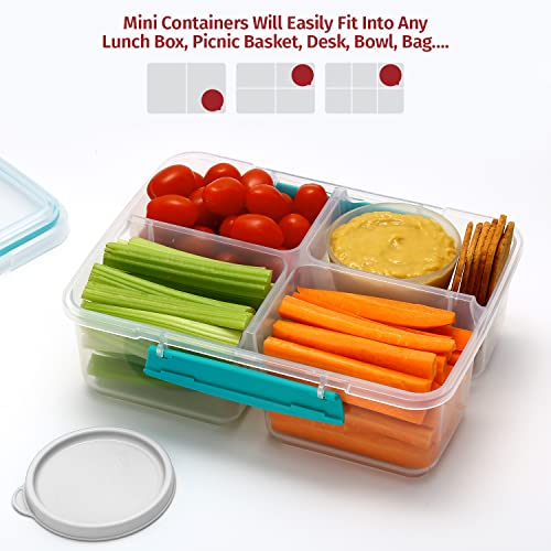Image of Signoraware Mini Mate BPA Free Plastic Containers Set (70ml x 8 | Set of 8 | White)