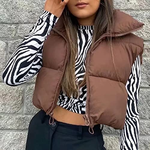 Tuduoms Women's Winter Crop Puffy Vest Quilted Puffer Outerwear Vests Teen Girls Cute Lightweight Puffer Padded Coat Gilet #TOP1