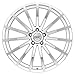 TSW MALLORY Silver Wheel with Painted Finish (18 x 8. inches /5 x 4 inches, 40 mm Offset)